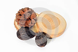 Closeup of round teak wood , Pine cone and dry seed of fox tail