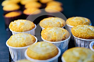 Closeup row of blueberry muffins