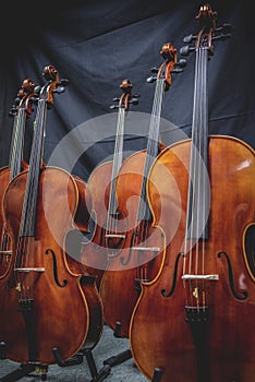 closeup of row of cellos resting against a dark background at a store