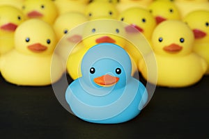 Closeup of rubber duckies