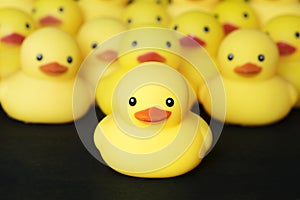 Closeup of rubber duckies