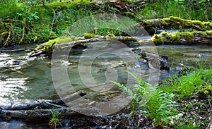 Rushing mountain river, natural landscape