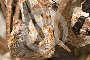 Closeup of rusted horseshoes