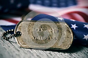 Text thank you veterans in a dog tag photo
