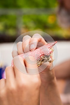 Closeup of a salami bread
