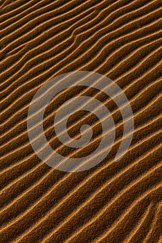 Sand background with a wavy pattern