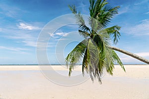 Closeup of sand on the beach and blue summer sky. Panoramic beach landscape. Empty tropical beach and seascape. Orange and golden