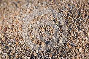 Closeup of sand on the beach. Crystals of sea sand as background. Macro