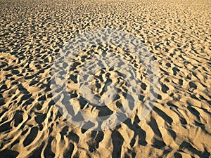 Closeup of sand beach with texture and shadows