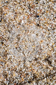 Closeup of sand grain at a beach..