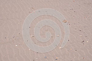 closeup sand pattern of a beach in the summer