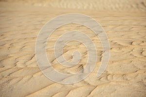 Closeup of sand pattern of beach in summer