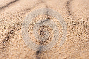 Closeup sand pattern of a beach in the summer