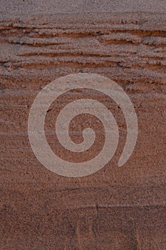 Closeup Sand Texture Background with Fine Grains and Sea Shells