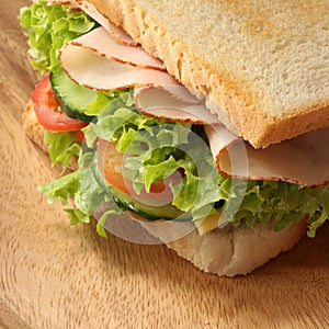 Closeup sandwich