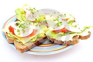 Closeup of sandwich with cheese and vegetables