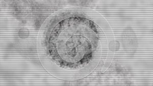 Closeup Scanning Anatomy of Airborne Virus