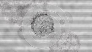 Closeup Scanning Anatomy of Airborne Virus