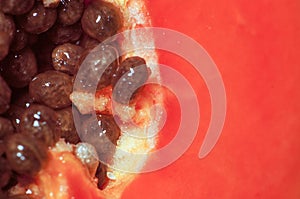 Closeup scene of papaya and seed in the kitchen