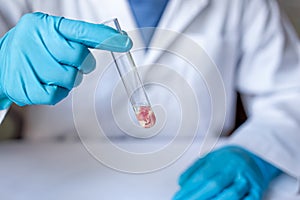 Closeup of scientist's hand with meat specimens in the test tube from the production facility for food quality control