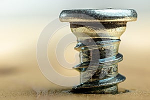 Closeup of screw being screwed into a wooden plank - extra macro shoot - white background.