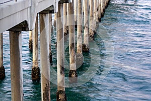 Closeup of the Sea and Barnacles Growing On Pilings of the Huntington Beach Pier