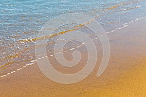 Closeup of sea foam on wet golden sand with copy space