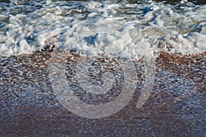 Closeup of the sea foaming waves rolling sandy ashore in the daytime