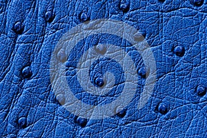 Closeup of seamless blue leather texture