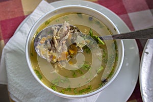 Closeup of a serving of veal soup with vegetables.