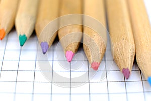 Closeup set of  colorful pencils on the checkered paper sheet of notebook for the drawing. Back to school concept