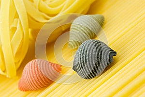 Closeup shoot of different types of pasta