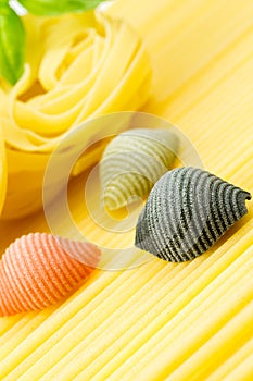 Closeup shoot of different types of pasta