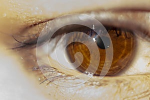 Closeup shoot of female brown eye with makeup