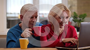 Closeup shoot of senior happy couple using the laptop on the desk and drinking tea indoors in a cozy apartment