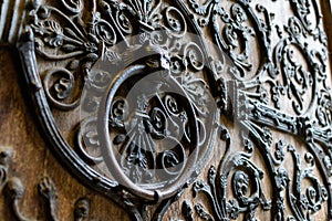Closeup shot of the ancient lion head doorknocker