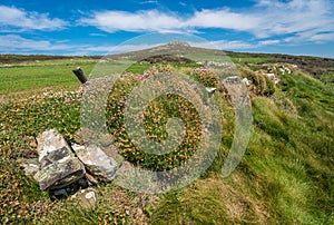 Closeup shot of barbed wires in a field