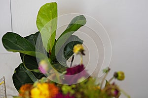 Closeup shot  of a beautiful multi color flower bouquet