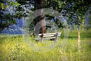 Closeup shot of a bench, a perfect place for solitude seekers - the concept of  lonesomeness photo