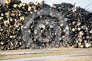 Closeup shot of a big stack of chopped twigs and logs