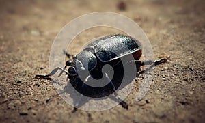 Closeup shot of a black bug perched on the ground, AI-generated