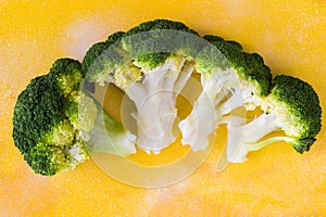 Closeup shot of blanched broccoli isolated on a yellow background