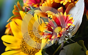 Closeup shot of a blanket flower in a bouquet