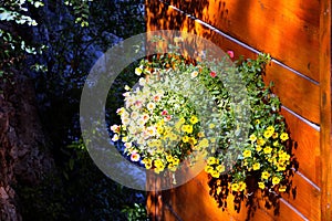 Closeup shot of blossomed flowers on a wooden door in a garden