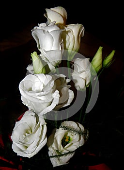 Closeup shot of a bouquet of beautiful white lisianthus flowers with a black background