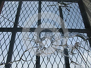 Closeup shot of broken window glass with bullet holes