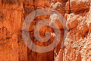 Closeup shot of Bryce Canyon National Park in Utah, USA