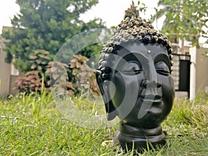 Closeup shot of a Buddha`s head on the garden