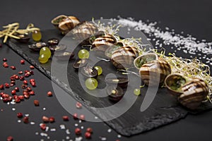 Closeup shot of Burgundy snails on black plate
