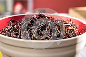 Closeup shot of chapulines in a bowl with a blurred background